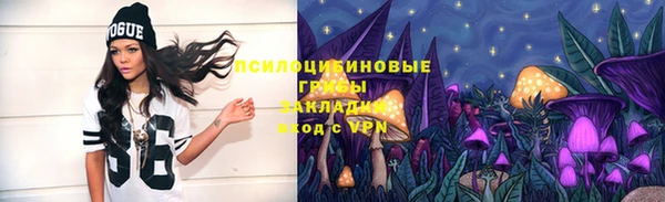ALPHA-PVP Заводоуковск