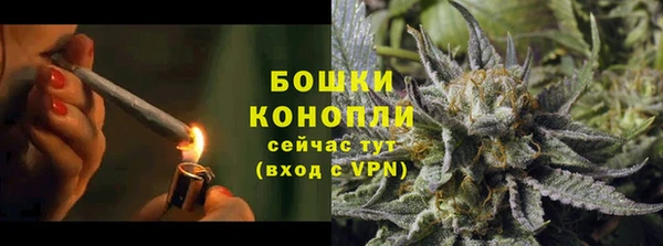 ПСИЛОЦИБИНОВЫЕ ГРИБЫ Заволжье