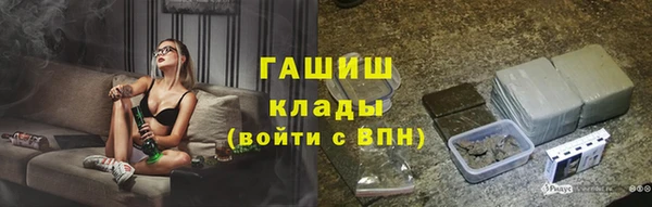 МДПВ Ветлуга