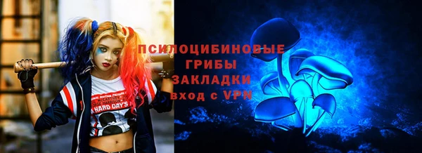 ПСИЛОЦИБИНОВЫЕ ГРИБЫ Заволжье