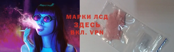 ПСИЛОЦИБИНОВЫЕ ГРИБЫ Заволжье