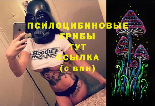 ПСИЛОЦИБИНОВЫЕ ГРИБЫ Заволжье