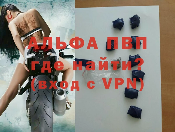 ПСИЛОЦИБИНОВЫЕ ГРИБЫ Заволжье