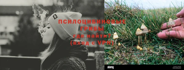 ПСИЛОЦИБИНОВЫЕ ГРИБЫ Заволжье