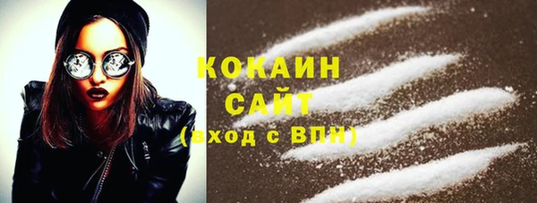 ПСИЛОЦИБИНОВЫЕ ГРИБЫ Заволжье