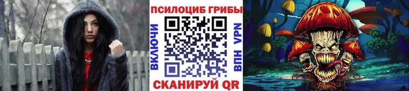 гидра сайт  где можно купить   Каменск-Шахтинский  Псилоцибиновые грибы GOLDEN TEACHER 