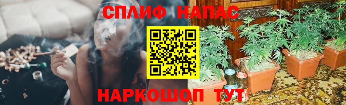 Шишки марихуана гибрид  Бошки марихуана MAZAR  Каменск-Шахтинский  Бошки марихуана OG Kush  Вход с VPN 
